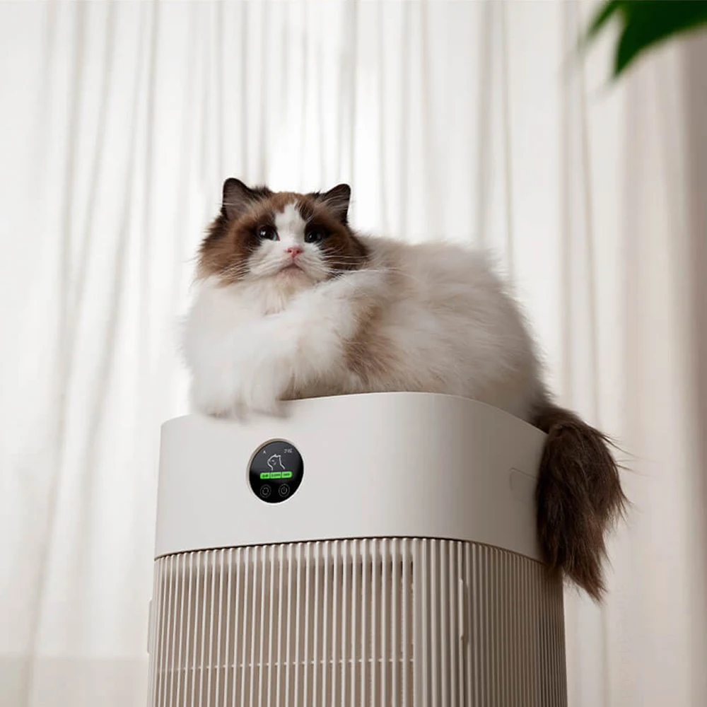 猫の毛は素早く吸収し、犬の毛を除去します。臭いを除去します。 - Hair Care のレビューと価格